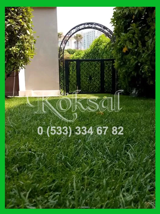 Ferforje Bahçe Kapısı 811